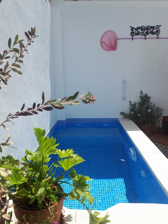 Casa Clemente 32, Private House With Plunge Pool Málaga Exterior foto