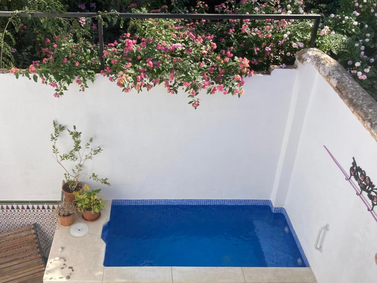 Casa Clemente 32, Private House With Plunge Pool Málaga Exterior foto