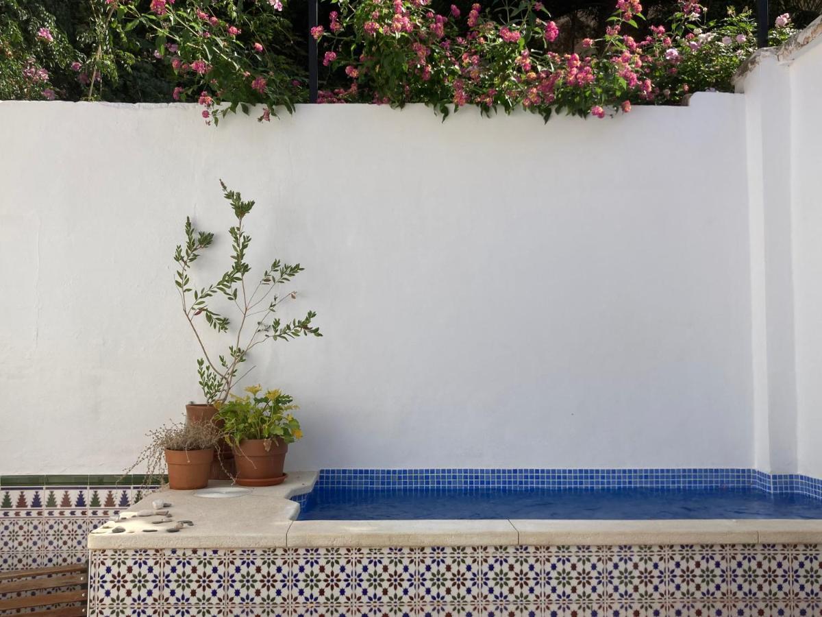 Casa Clemente 32, Private House With Plunge Pool Málaga Exterior foto